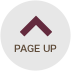 PAGE UP